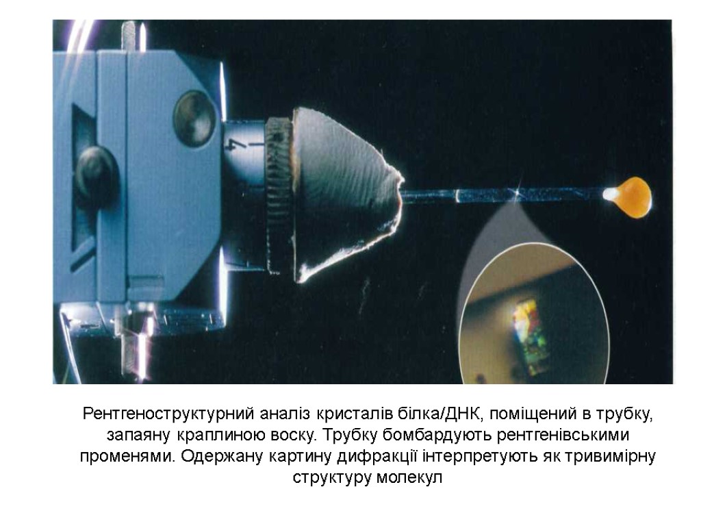 Рентгеноструктурний аналіз кристалів білка/ДНК, поміщений в трубку, запаяну краплиною воску. Трубку бомбардують рентгенівськими променями.